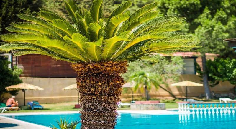 Achousa Hotel Faliraki Ngoại thất bức ảnh