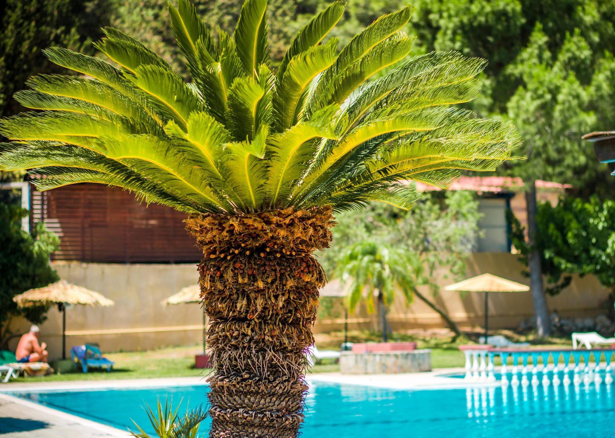 Achousa Hotel Faliraki Ngoại thất bức ảnh